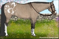 Horse Color:Brown Dun Blanket Brindle 