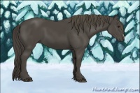 Horse Color:Smoky Black 