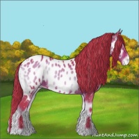 Horse Color:Watercolor White Spotted Liver Red Onyx Near Leopard Rabicano 