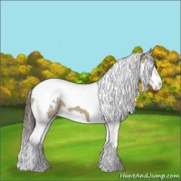 Horse Color:Liver Red Dun Splash Tobiano Appaloosa 