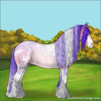 Horse Color:Watercolor White Spotted Brown Sabino 