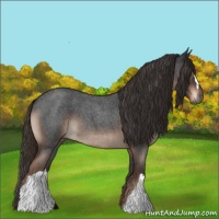 Horse Color:Liver Red Roan 