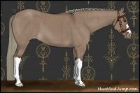 Horse Color:Liver Red Dun Mushroom Varnish Brindle 