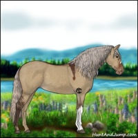 Horse Color:Silver Bay Dun Varnish 