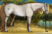 Horse Color:Liver Red Dun Roan Snowdrop Pearl Frame Varnish 