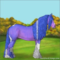 Horse Color:Watercolor Liver Chestnut Sabino Tobiano 