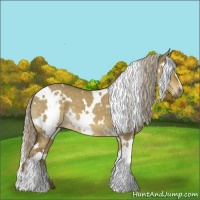 Horse Color:White Spotted Chocolate Palomino Dun 