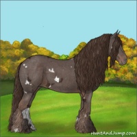 Horse Color:White Spotted Liver Chestnut Ice 
