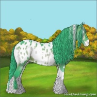 Horse Color:Watercolor White Spotted Brown Onyx Tobiano Appaloosa