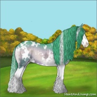 Horse Color:Watercolor White Spotted Brown Ice Onyx Splash Appaloosa 