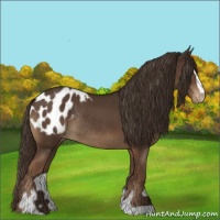 Horse Color:Liver Chestnut Sabino Appaloosa Rabicano