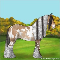 Horse Color:White Spotted Sable Champagne Rabicano 