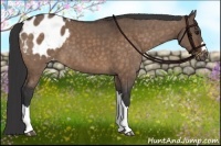 Horse Color:Brown Dun Blanket Brindle 