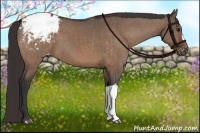Horse Color:Brown Dun Varnish Brindle 