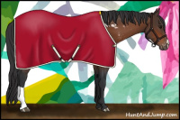 Horse Color:Brown Appaloosa 