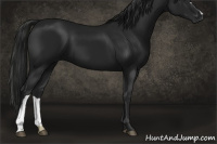 Horse Color:Gray Black 