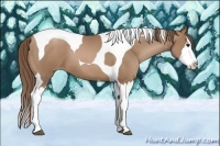 Horse Color:Black Pearl Splash Tobiano 