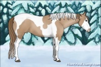 Horse Color:Black Pearl Splash Tobiano 