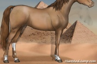 Horse Color:Brown Pearl 