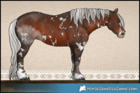 Horse Color:White Spotted Silver Brown Mushroom Sabino 