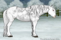 Horse Color:Silver Black Chinchilla Ice Sabino 