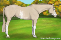 Horse Color:Smoky Creme Sabino