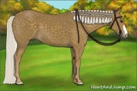 Horse Color:Silver Smoky Black 