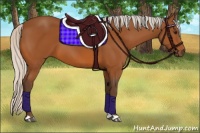 Horse Color:Silver Bay 