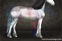 Horse Color:Brown Roan Splash Rabicano