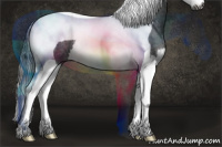 Horse Color:Gray Blue Roan Splash Tobiano 