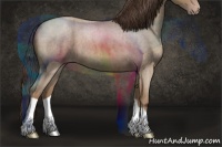 Horse Color:Classic Champagne Roan 