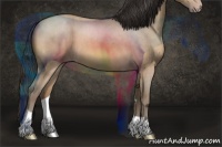 Horse Color:Amber Champagne Roan 
