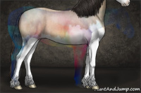 Horse Color:Sable Champagne Roan Splash