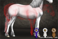 Horse Color:Black Splash Tobiano