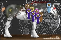 Horse Color:Liver Chestnut Sabino Splash