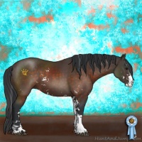 Horse Color:Brown Sabino