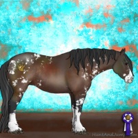 Horse Color:Brown Sabino Rabicano