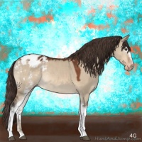 Horse Color:White Spotted Bay Dun Appaloosa Rabicano