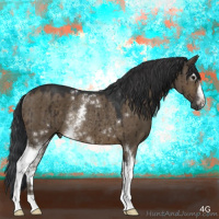 Horse Color:White Spotted Brown Dun Rabicano Brindle