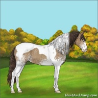 Horse Color:White Spotted Classic Champagne Tobiano 