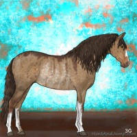 Horse Color:Liver Red Dun Rabicano 