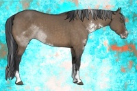 Horse Color:Brown Dun Mushroom Sabino Brindle 