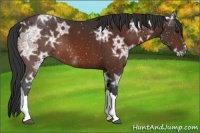 Horse Color:Brown Ice 