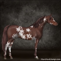 Horse Color:Chocolate Brown Ice 