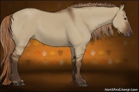 Horse Color:Liver Red Dun 