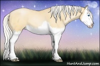 Horse Color:Silver Buckskin Roan Pearl Splash 