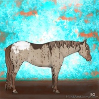 Horse Color:Liver Red Dun Appaloosa