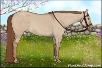 Horse Color:Red Dun Brindle 