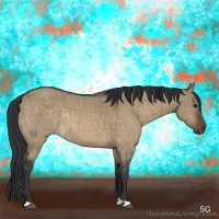 Horse Color:Brown Dun Brindle 
