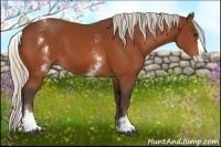 Horse Color:White Spotted Silver Bay Splash 